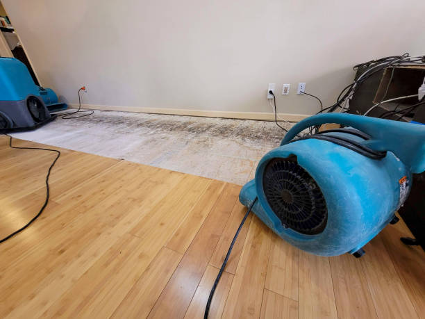 Professional Structural Drying technician working in Ashland, IL